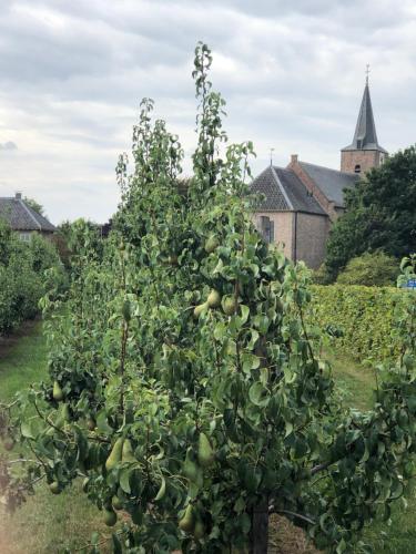 Gastenverblijf op de Prins Hendrik Hoeve in Buren