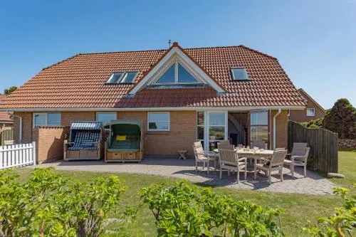 Albatros in List auf Sylt, Deutschland