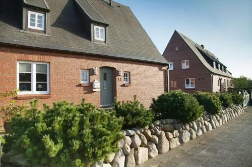 Bachstelze in List auf Sylt, Deutschland
