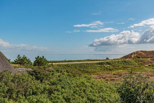 Austernblick, List (fotografie 3)