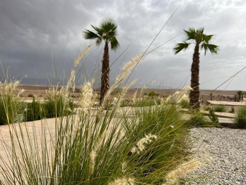 agafay valley agafay valley