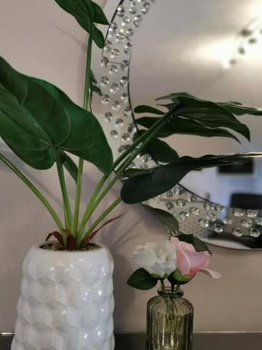 B'Dazzled Flat, Castletown in 卡斯爾敦