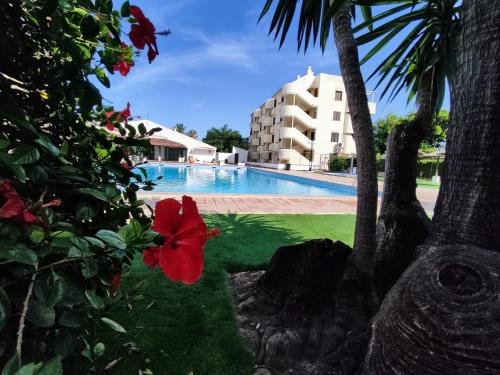 Apartamento en Denia con Piscina cerca del mar