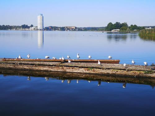 Ostsee Hausboot Schleswig Ostseeblick 1