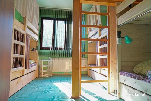 House Tisa - image 6