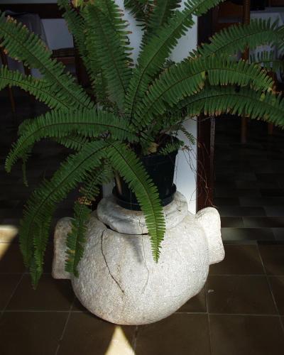 Apartment Igrane 310e - image 12