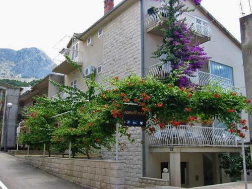 Apartments by the sea Podgora, Makarska - 316 - Podgora