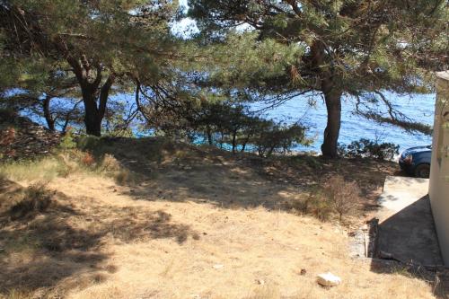 Secluded fisherman's cottage Cove Ripisce, Dugi otok - 394 in Brbinj