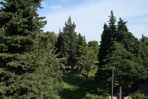 Studio Trpanj 257c - image 12