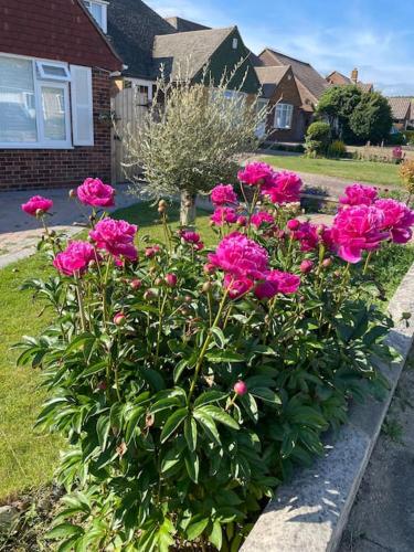 Rooms in a beautiful house with free on St parking in Hove
