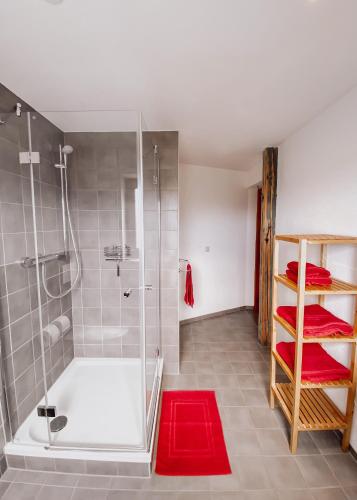 ห้องน้ำ, Hotel Am Rittergut in แฟรงเกนเบิร์ก