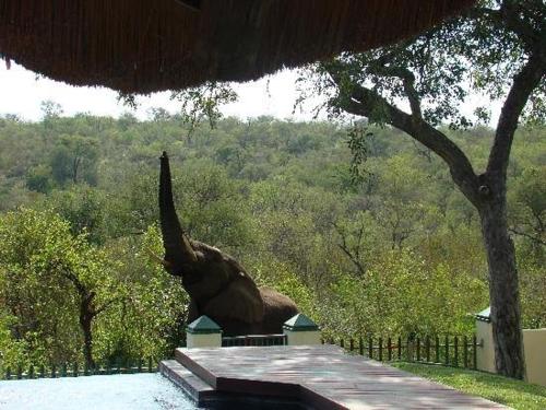 . Muweti Bush Lodge