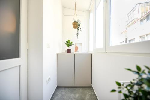One-Bedroom Apartment room in SWEET BLOSSOM - Lovely 1BR Apt in the City Center