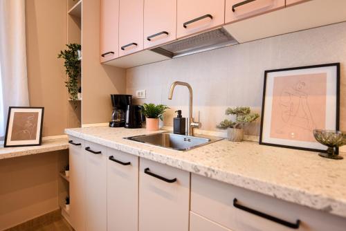 One-Bedroom Apartment image 7