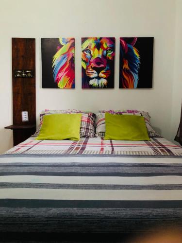 One-Bedroom House image 5