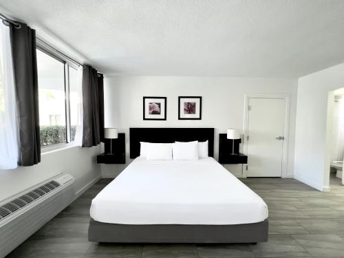 Beach Gardens Room Type - Deluxe King Studio