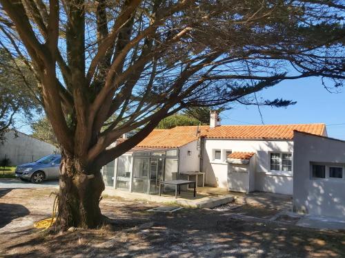 Domino , ile d' Oléron ,vacantiehuis 8 personen, dichtbij het strand