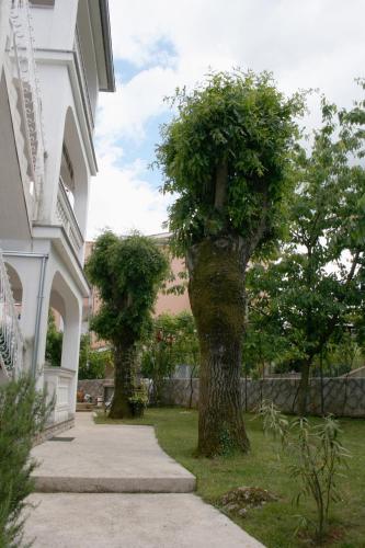 Apartments with a parking space Vantacici Krk - 427 - image 3
