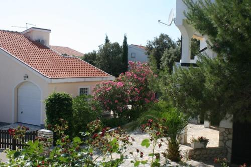 One-Bedroom Apartment with Terrace image 2