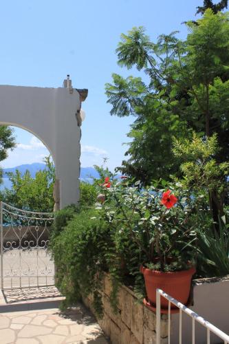 Apartments by the sea Brist Makarska - 508 - image 9