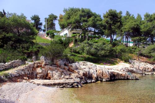  Apartments by the sea Basina, Hvar - 542 in Vrbanj