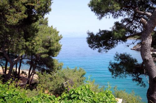 Apartments by the sea Basina, Hvar - 542