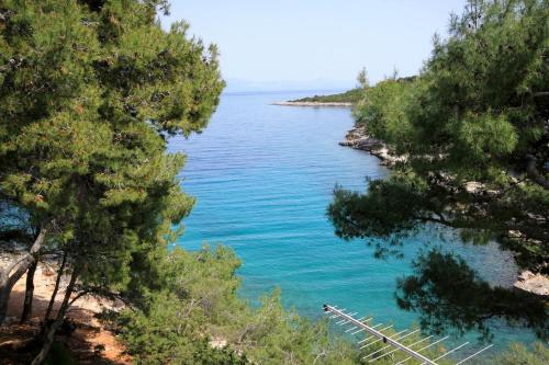 Apartments by the sea Basina, Hvar - 542