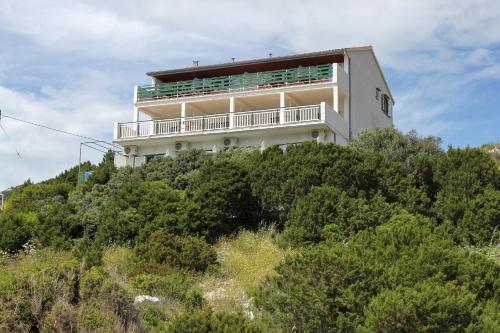  Apartments and rooms by the sea Milna, Hvar - 555 in Hvar