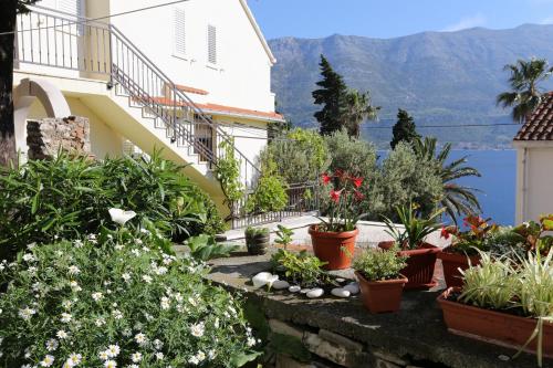 Apartments by the sea Korcula - 549 - image 12