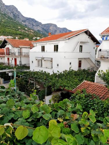 Apartments by the sea Podaca Makarska - 515 Drvenik 