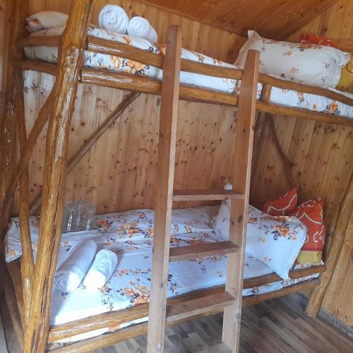 Pensiunea Pescărie La Nelu (Pensiunea Pescarie La Nelu) in Riu De Mori
