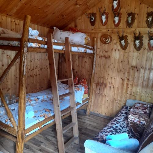 Pensiunea Pescărie La Nelu (Pensiunea Pescarie La Nelu) in Riu De Mori