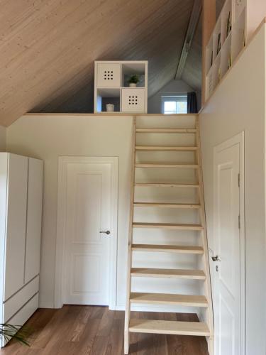 Mandarinas Mandarinas