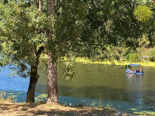 Chambre bananier: maison arborée face à la rivière