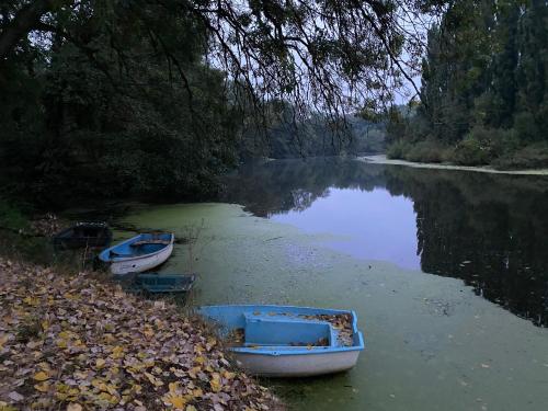 Chambre bananier: maison arborée face à la rivière