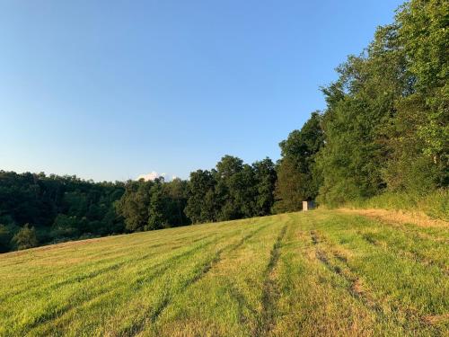 Serene 6BR country home on 325 acres ATV for rent in Weirton (WV)