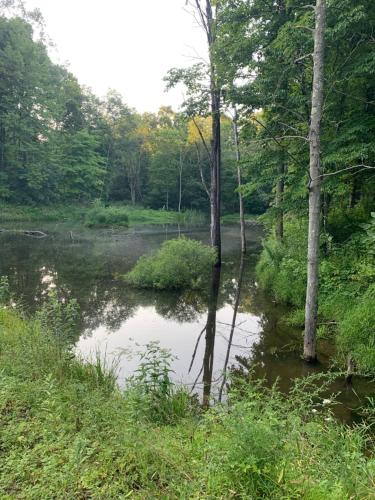 Serene 6BR country home on 325 acres ATV for rent in Weirton (WV)
