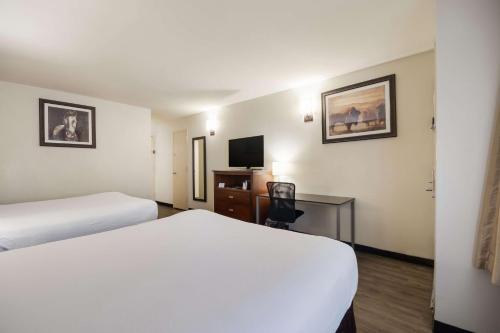 SureStay Plus by Best Western Lawton - image 8