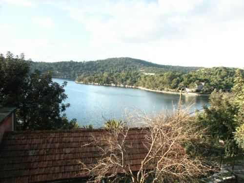 Apartments by the sea Babine Kuce, Mljet - 611