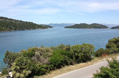 Apartments by the sea Polace, Mljet - 613