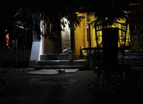 Budebu, Signagi (fotografie 7)