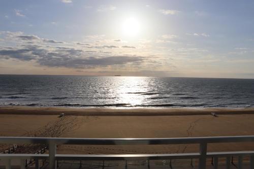 Ocean front best beach, boardwalk, dolphins!