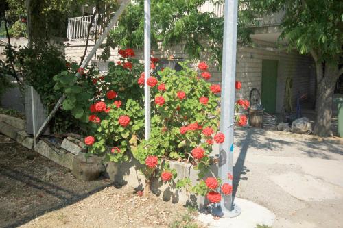 Apartment Viganj 633c - image 13