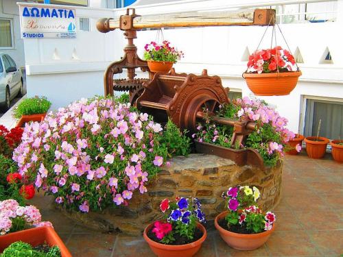 Neapoli Rooms - image 6