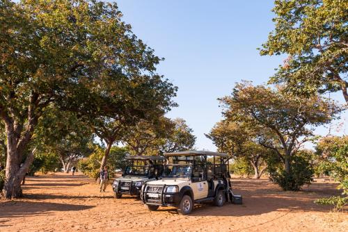 Chobe Marina Lodge