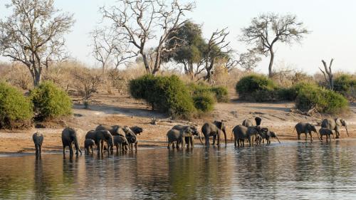 Chobe Marina Lodge