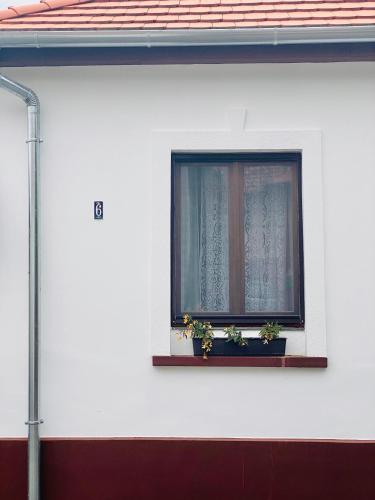 Widok z zewnątrz, Esther's Studio Keszthely in Keszthely