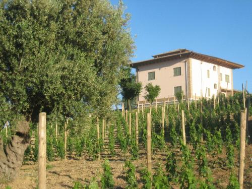 L'Orso e L'Ape B&B - image 6