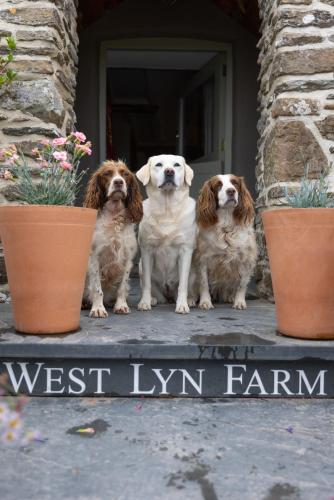 West Lyn Farm