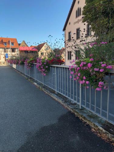 Chambre spacieuse dans joli village alsacien